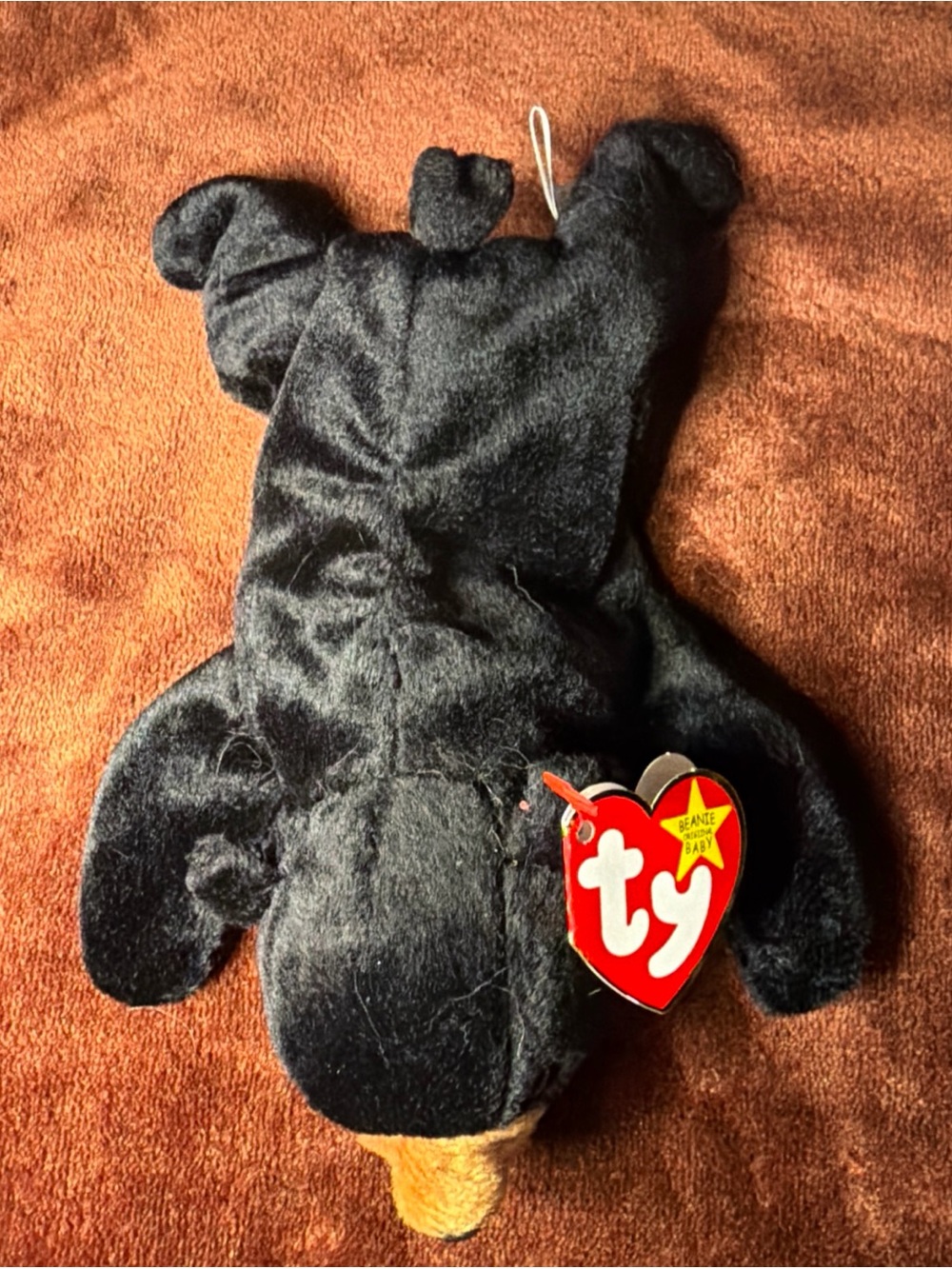 Ty Beanie Baby Blackie The Bear Plush Toy